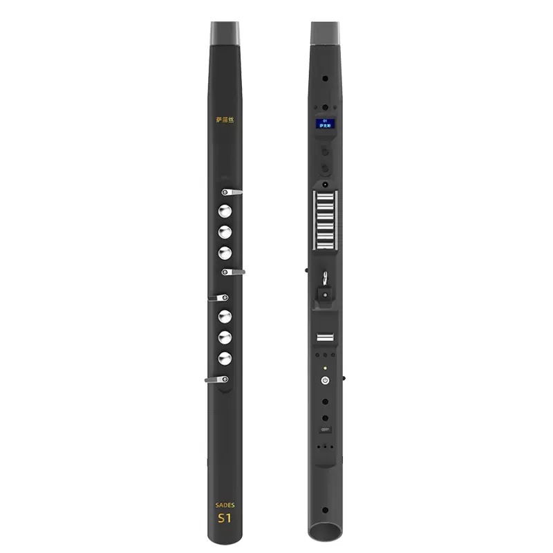Electric Wind Instrument, Begi - Musical Instrument For Beginners recension och pris